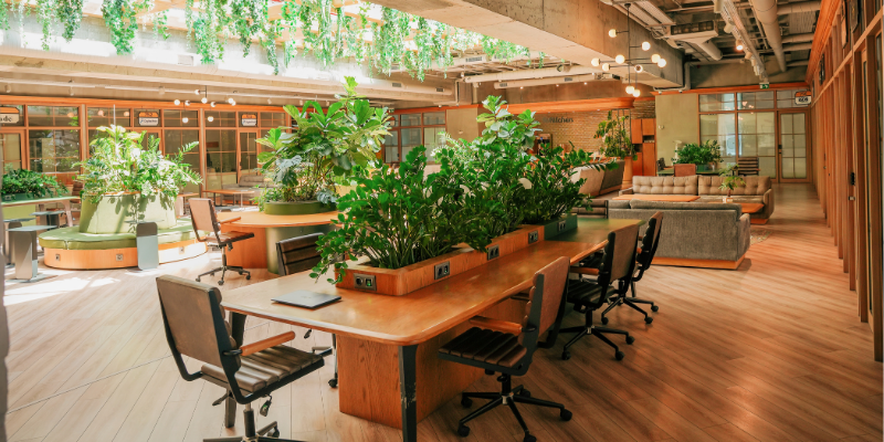 Office layout biophilic design trends for 2026